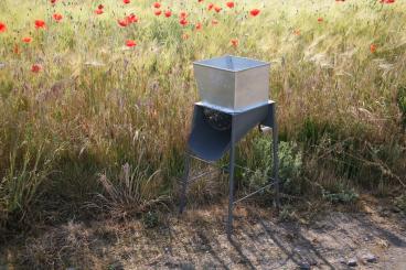 800529 Rübenmühle Standgerät 